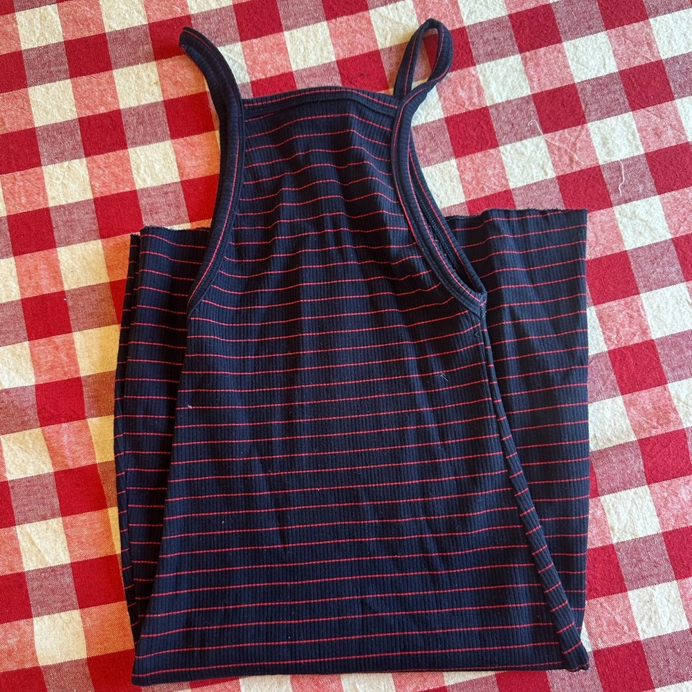 Reformation Rhodes Dress in Navy and Red Striped